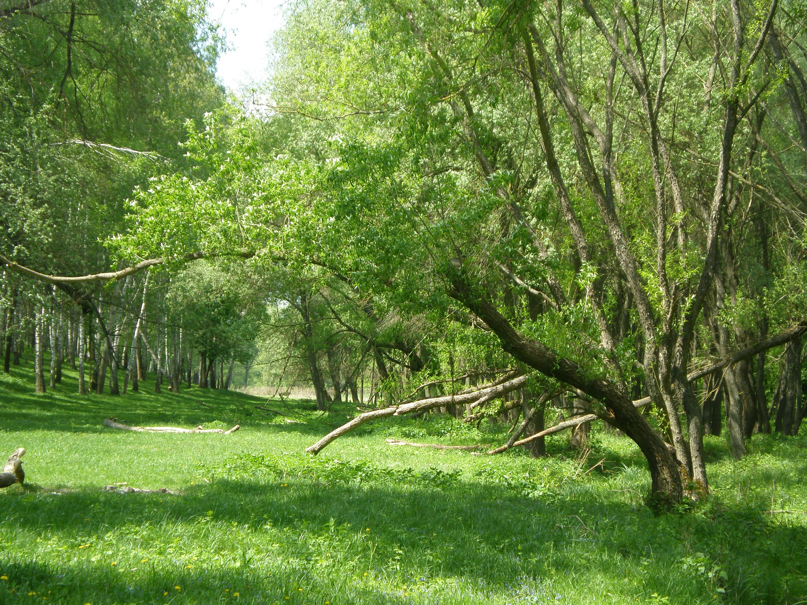 Glass containers filled with healthy Mediterranean meal prep dishes