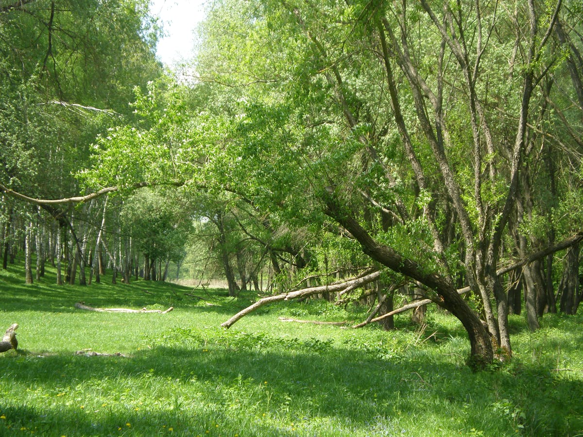 Person holding a colorful snack plate and eating mindfully