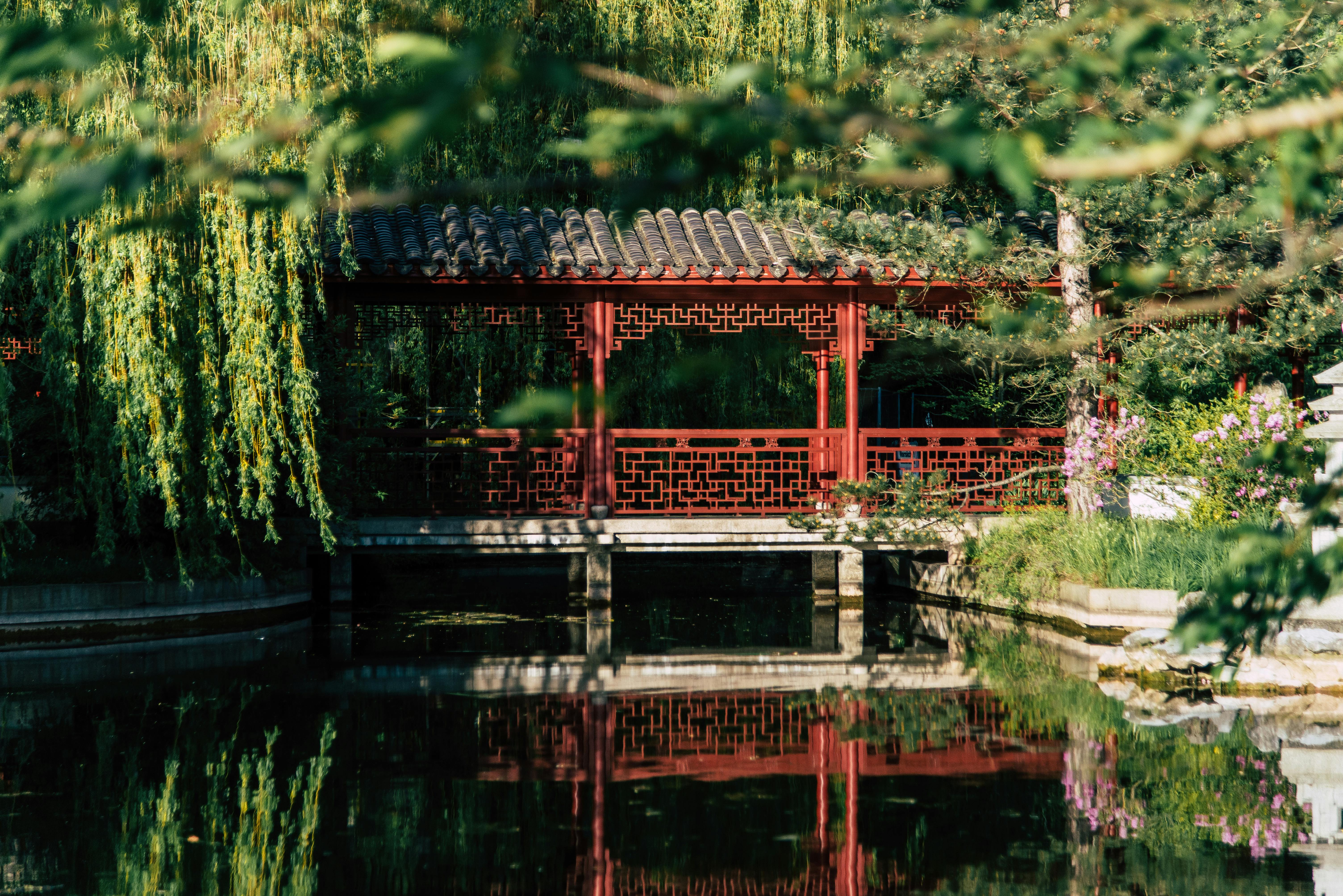 A Landscape Designer’s Favorite Gardening Tools — Photo by wal_ 172619 on Pexels