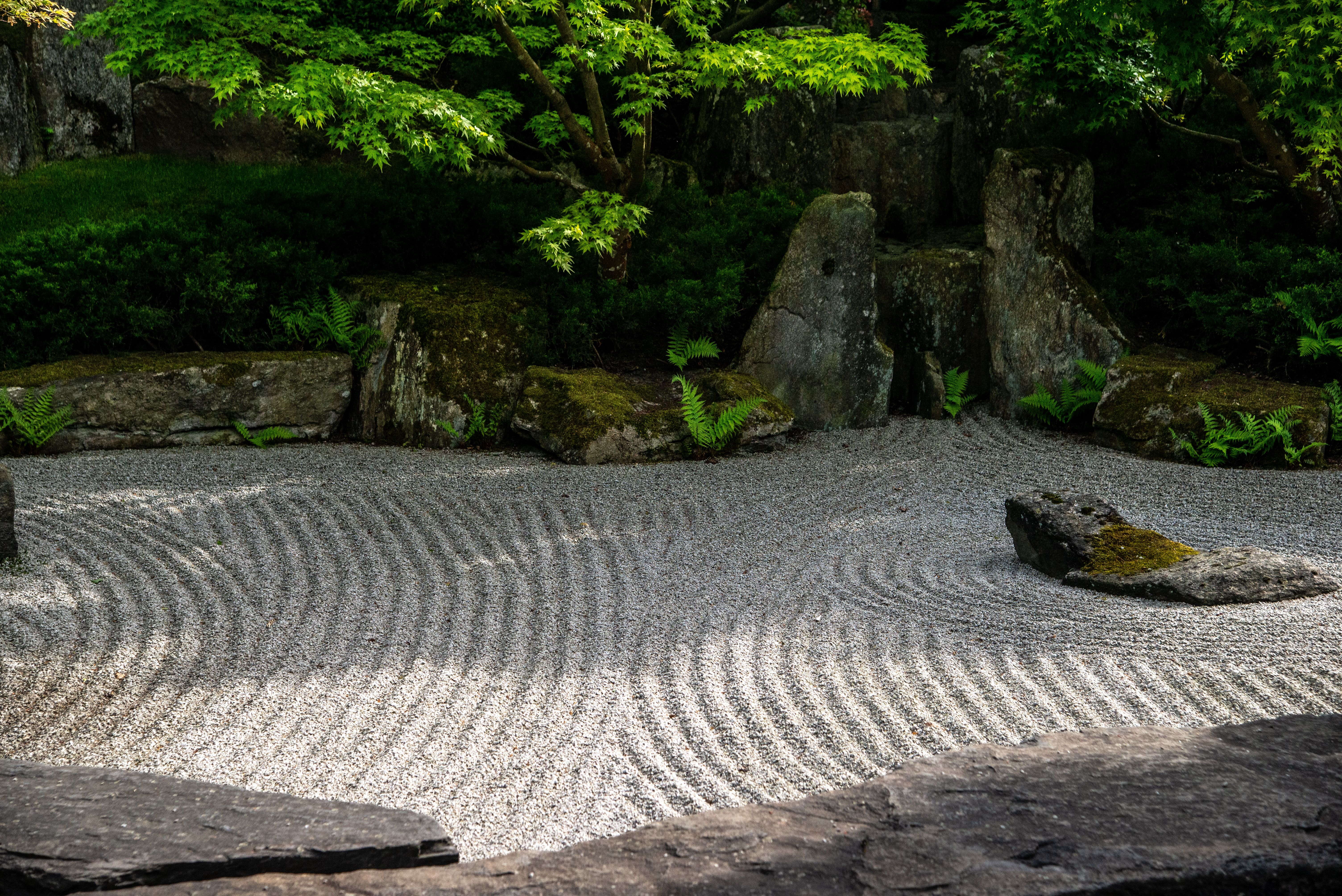 Jardim zen com areia rastelada em padrões e folhagens verdes ao redor