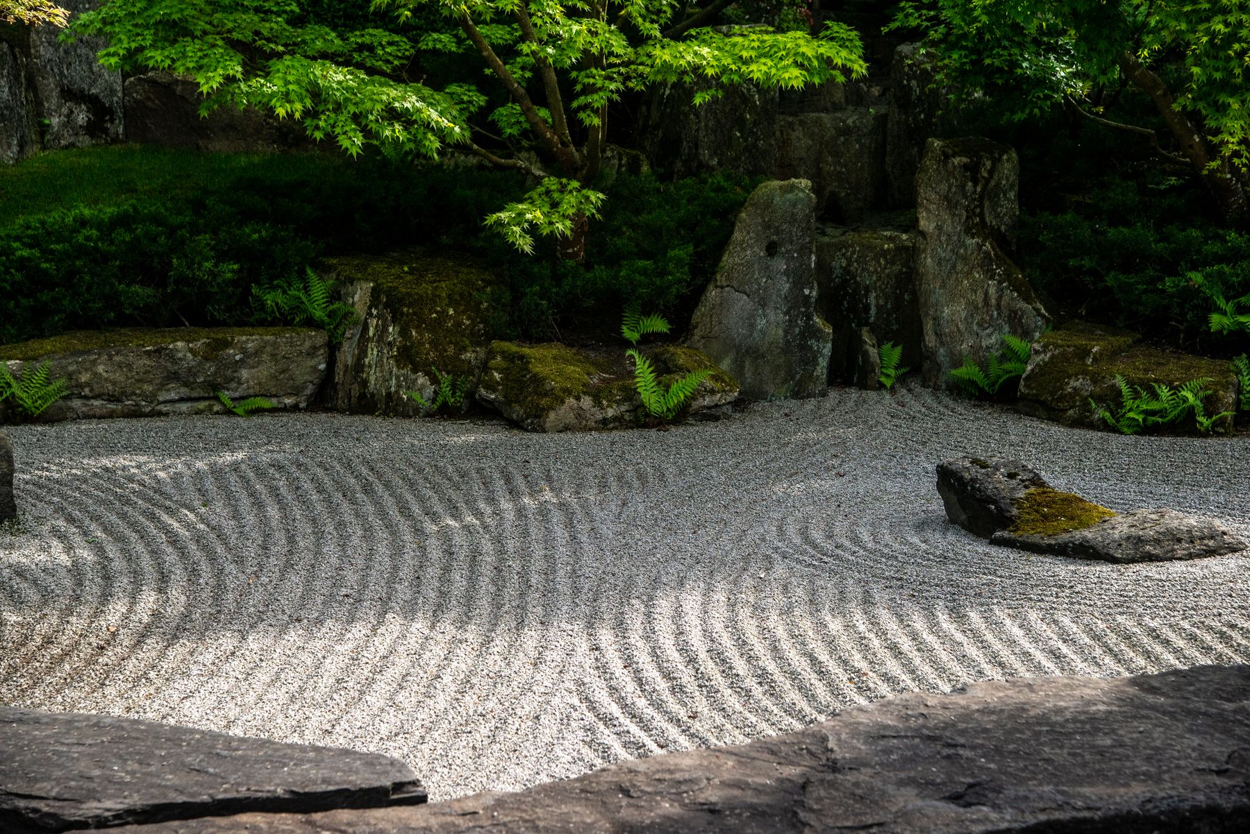 Frisse Japanse zentuin met bomen, groen blad, geharkt zand en rustige natuur