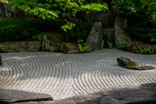 Free Peaceful Japanese Zen garden featuring meticulously raked sand patterns and lush green foliage. Stock Photo