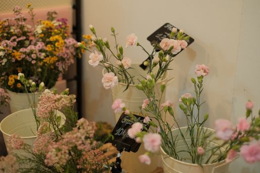 Charming display of pink carnations in buckets, ideal for floral decor themes.