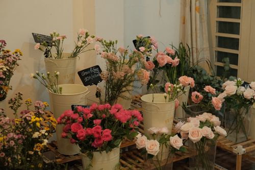 Free Beautiful indoor display of various flowers in an elegant shop setting. Stock Photo