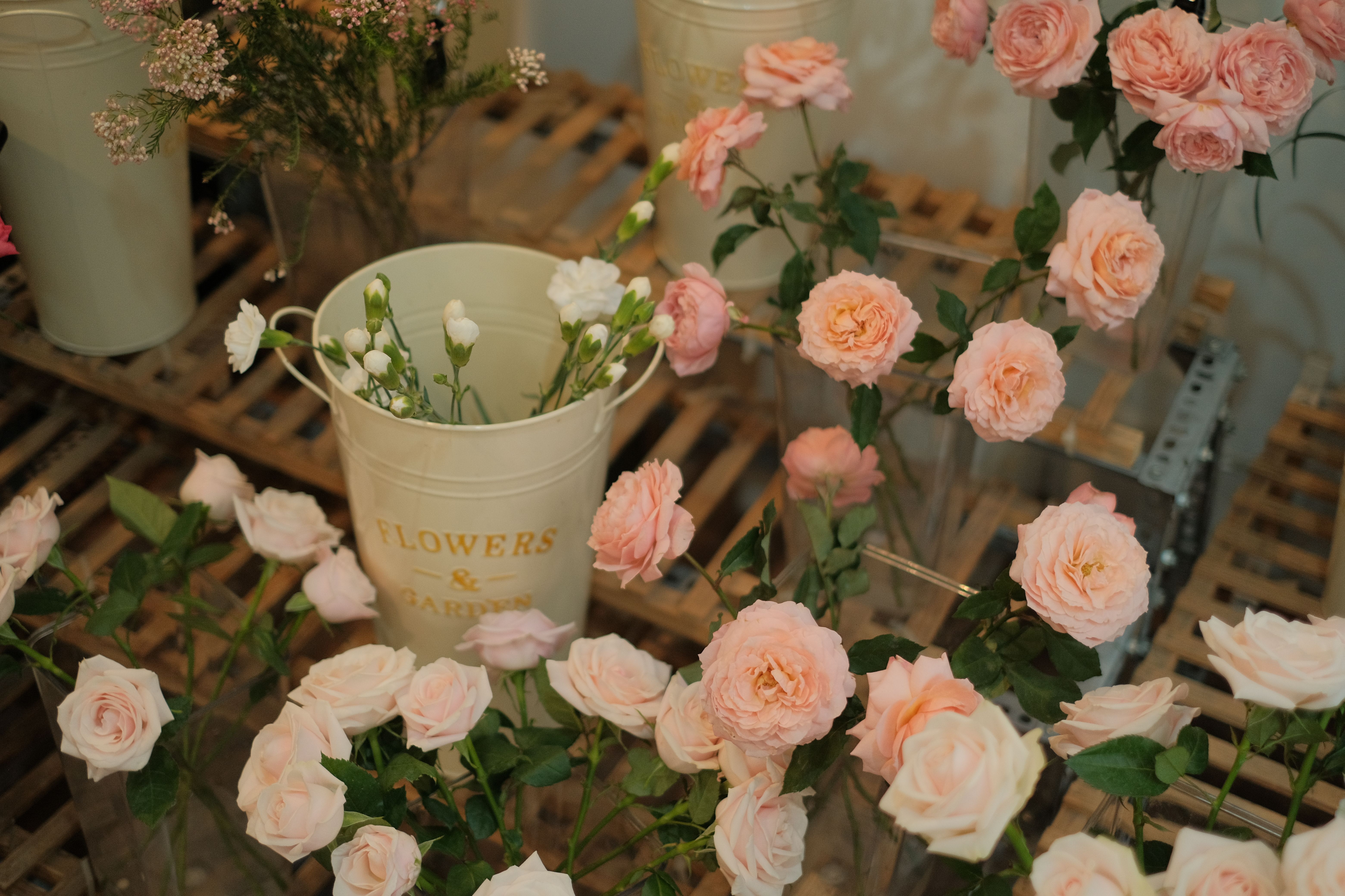 Roses fraîches dans un arrangement élégant