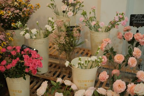 Free Beautiful floral arrangements with various flowers in a charming flower shop setting. Stock Photo