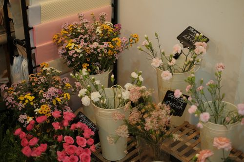 Free A colorful collection of fresh flowers in buckets, perfect for a floral display or decoration. Stock Photo