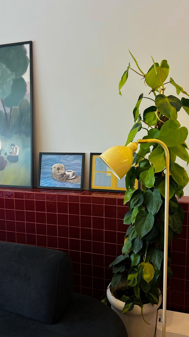 Living room corner with lush houseplant
