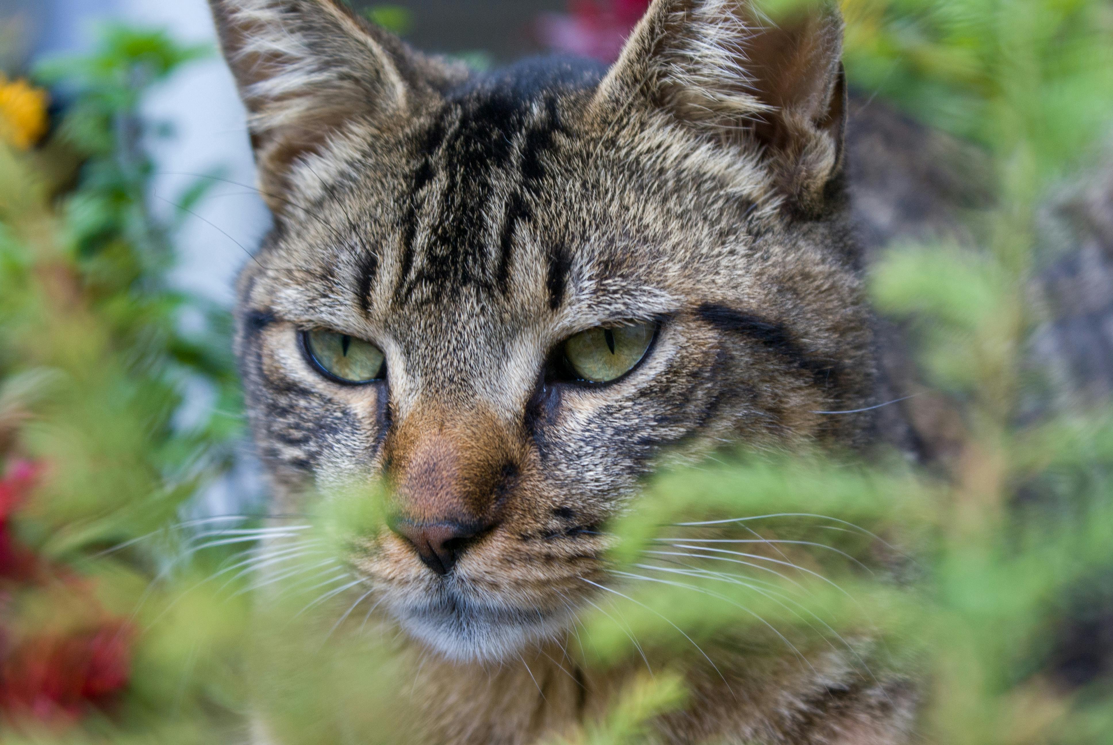 Person carefully folding and storing clothing
