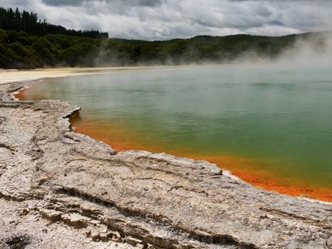 Waitomo glowworm caves day — Rotorua