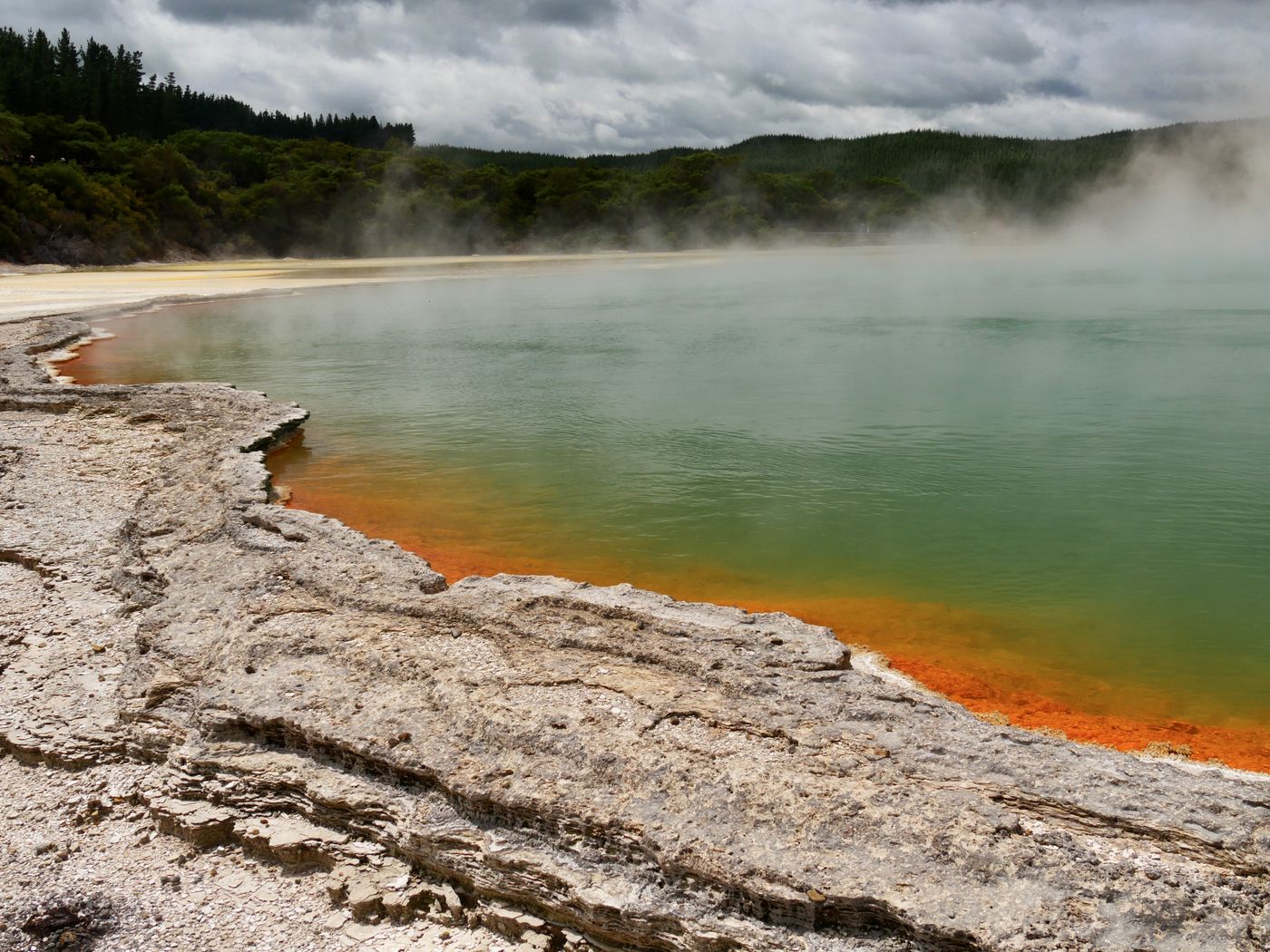 Champagne Pool à Rotorua