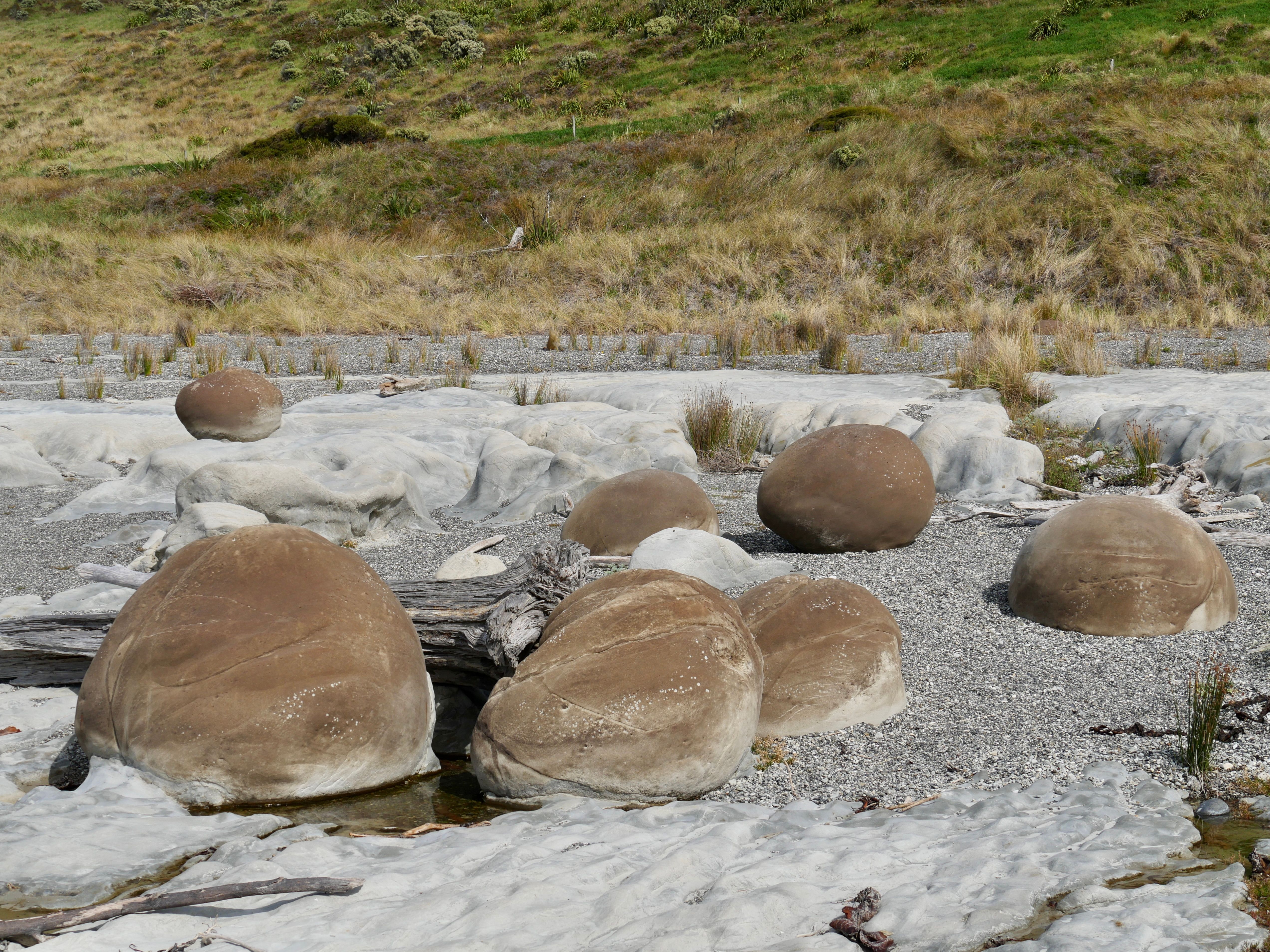 general travel new zealand — Photo by Dirk Pothen on Pexels