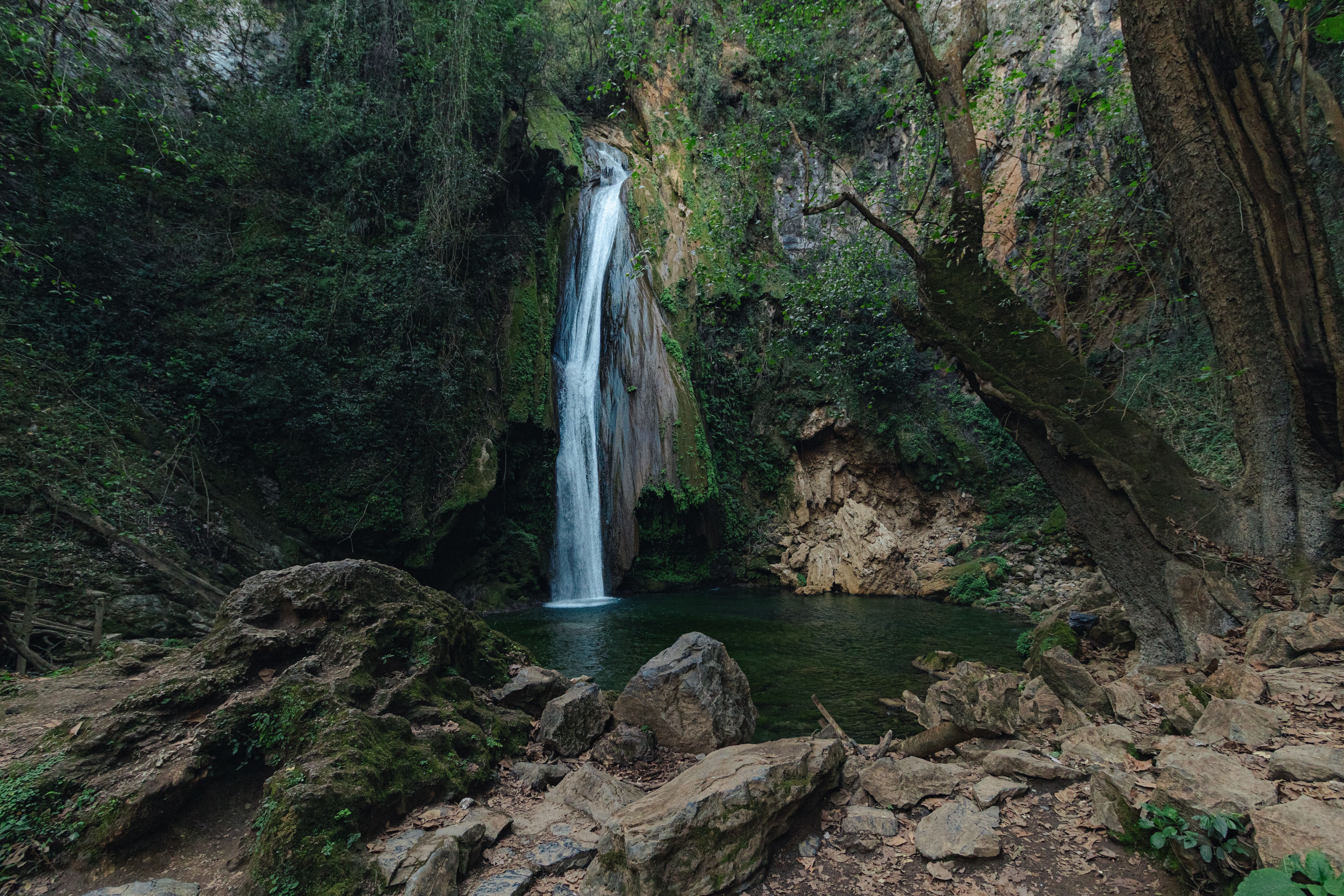 Serene Waterfall in Lush Forest Setting · Free Stock Photo