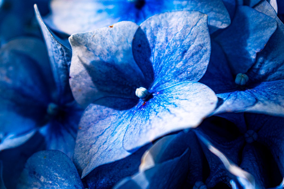 Meal prep containers filled with healthy grain and protein bowls