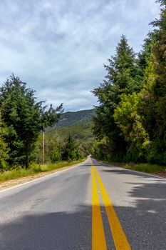 A scenic view of a road flanked by lush green trees in San Carlos de Bariloche, Patagonia.