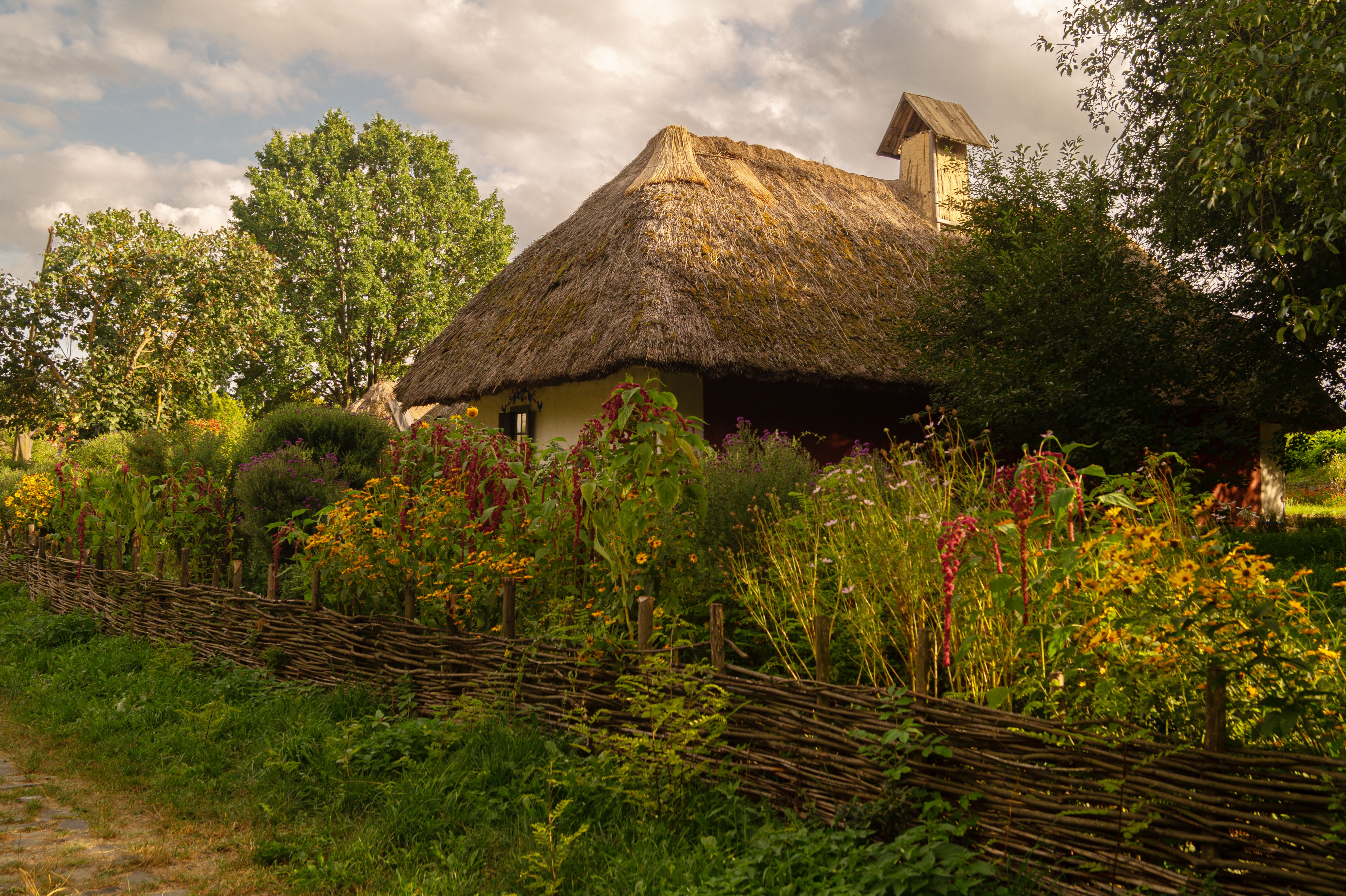 Царинка: що це таке і як її визначити — traditional Ukrainian rural garden fence village