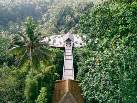 A breathtaking view of a treetop walkway leading to a thatched-roof building amidst a dense jungle.