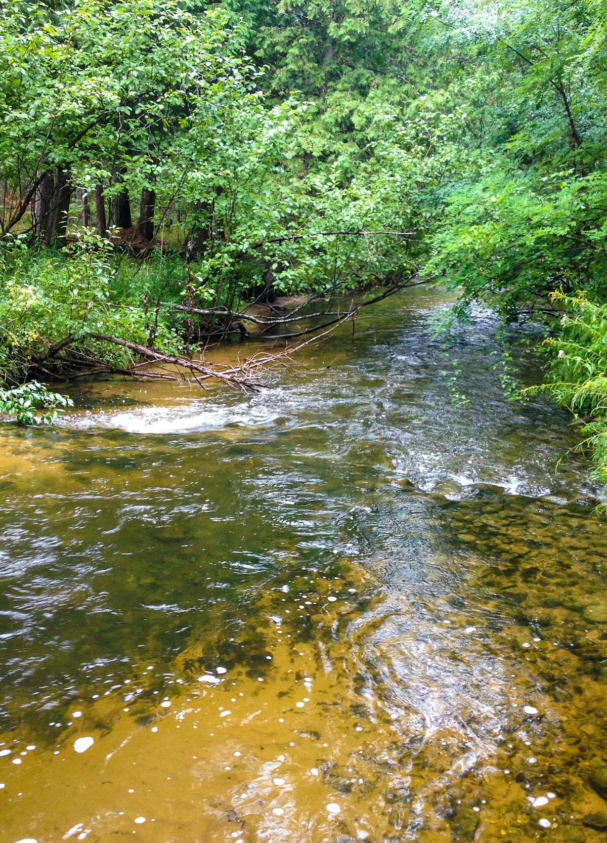 Chopped vegetables and nuts on a cutting board next to a knife