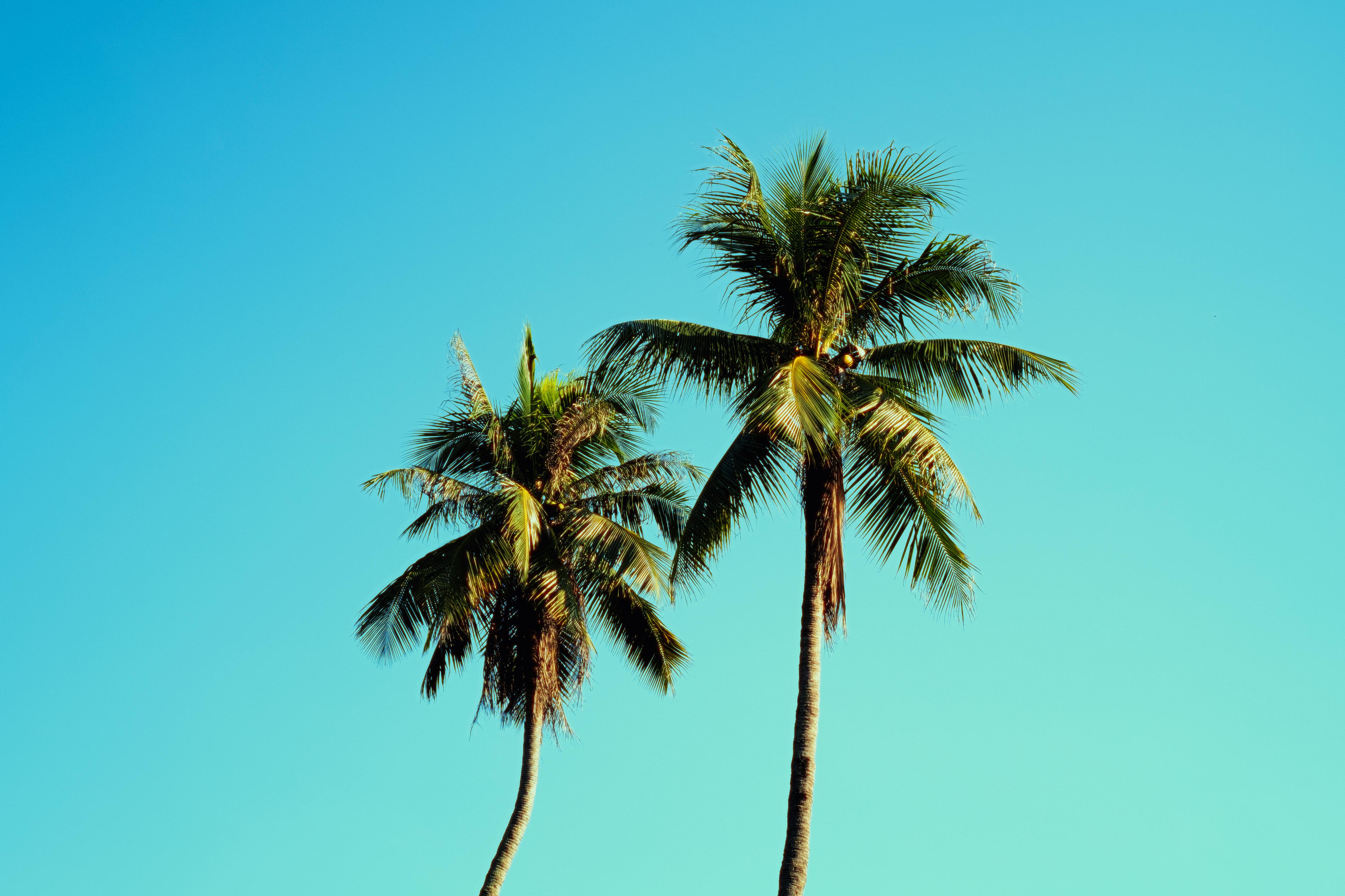 Palm Beach County "Accidental Landlords" Surge as Unsold Homes Convert to Rentals -- Atlis Property Management Releases 2026 