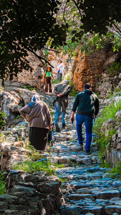 Free A diverse group of hikers climbing a rocky trail surrounded by lush greenery and sunlight. Stock Photo