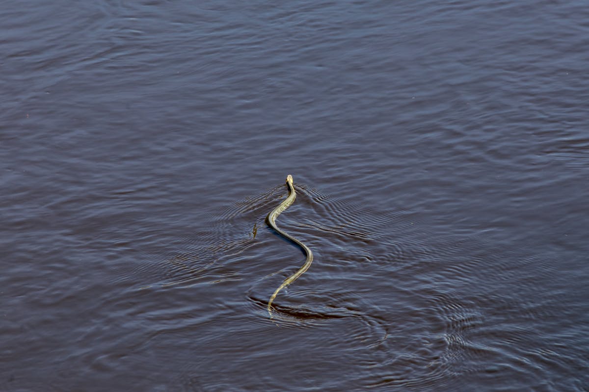 Kitchen scene with cutting board, knife, and bowls prepared for cooking