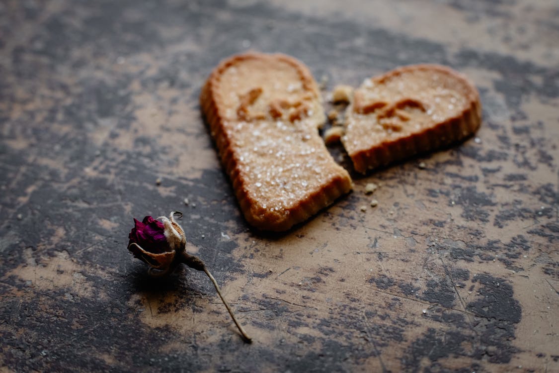 Dry Rose Flower Next to Broken Heart-shaped Cookie