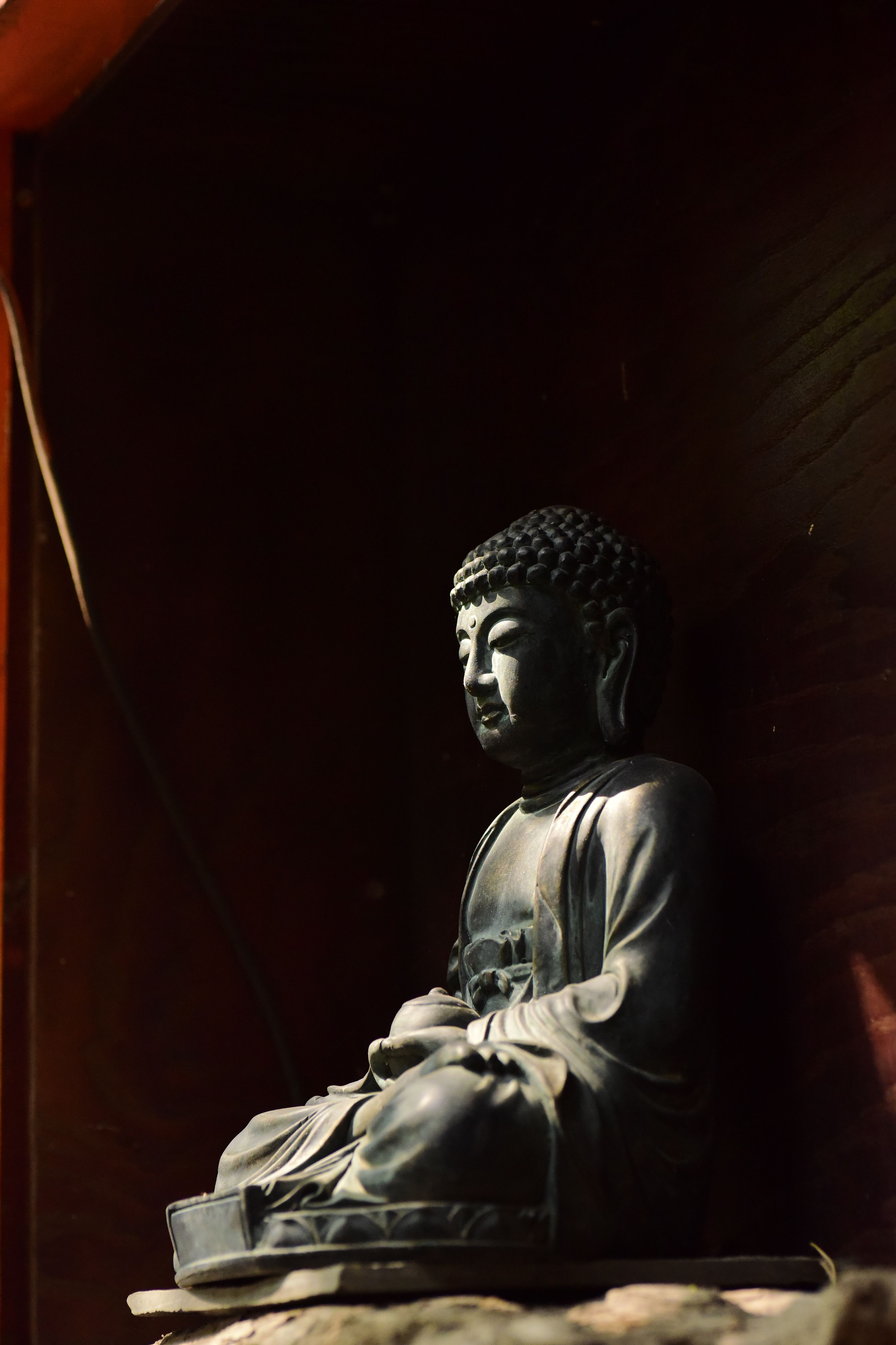 Buddhism Meditation.Txt