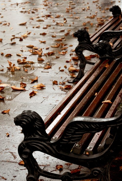 Free Rain-soaked bench with fallen autumn leaves in Lviv, Ukraine. Stock Photo
