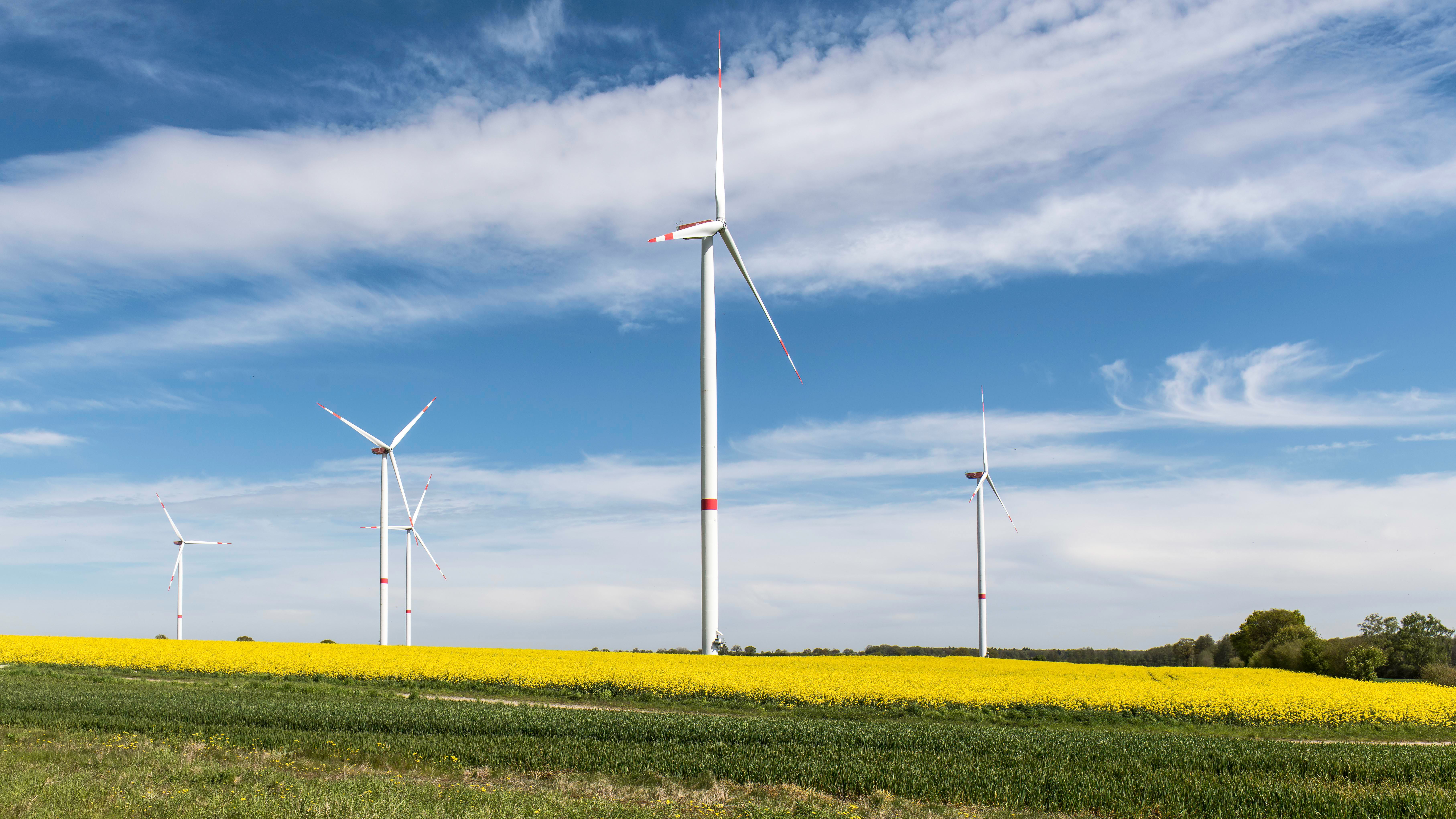 Renewable energy – powering a safer and prosperous future — Photo by Wolfgang Weiser on Pexels