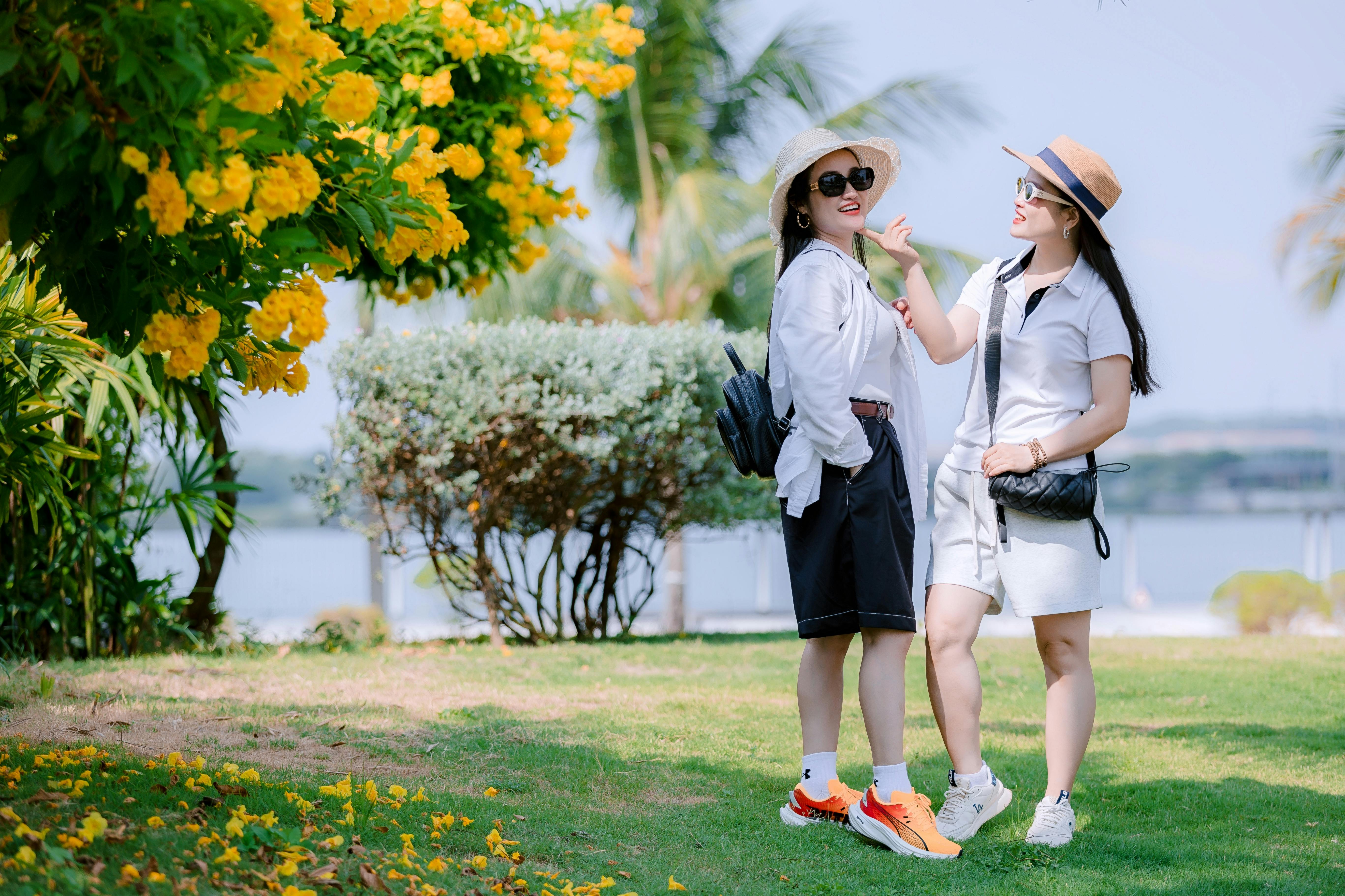 Opinion | Life Is Too Short for Frequent-Flyer Miles — Photo by 🇻🇳🇻🇳Nguyễn Tiến Thịnh 🇻🇳🇻🇳 on Pexels
