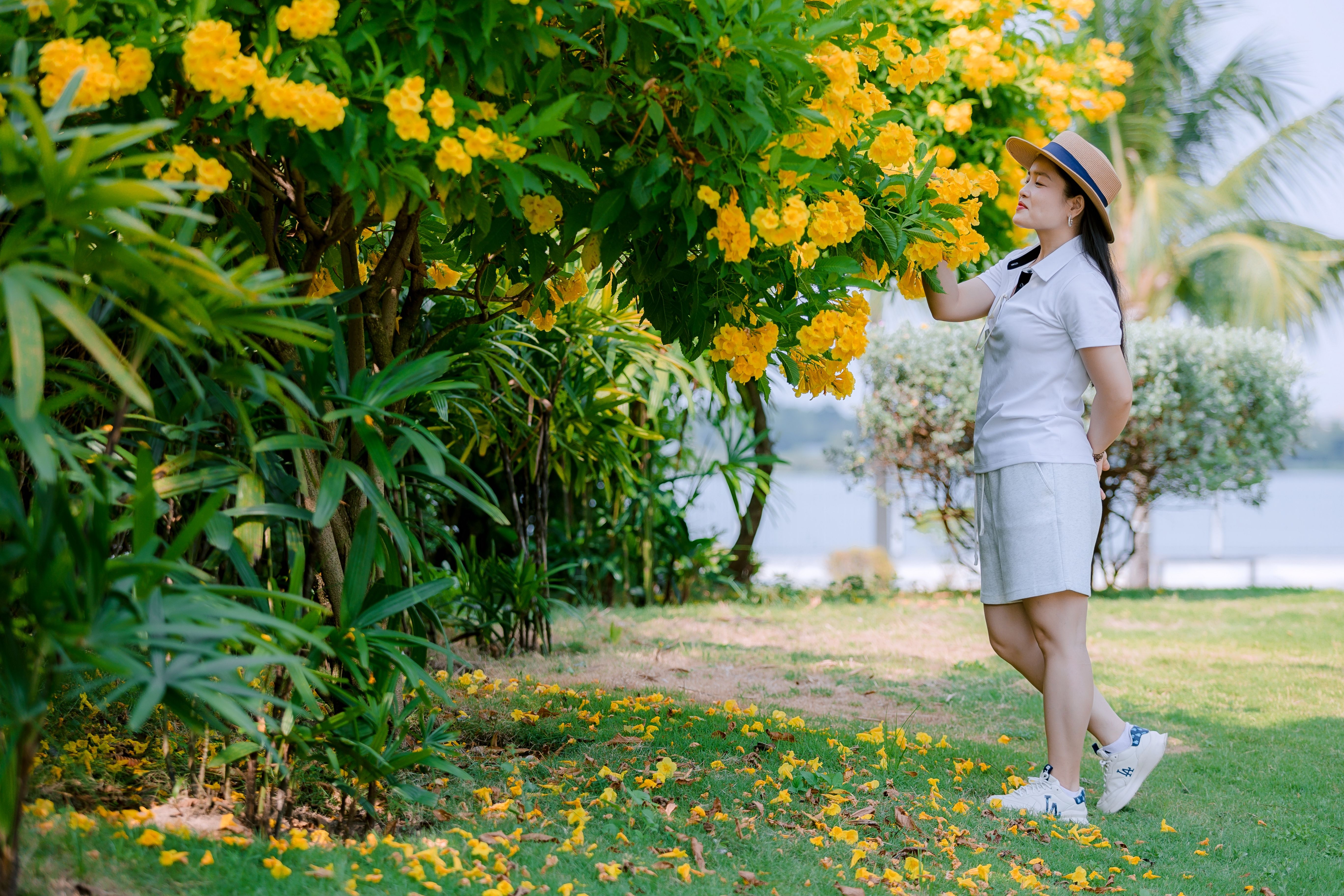 Woman in casual attire admires yellow flowers on a sunny day outdoors.