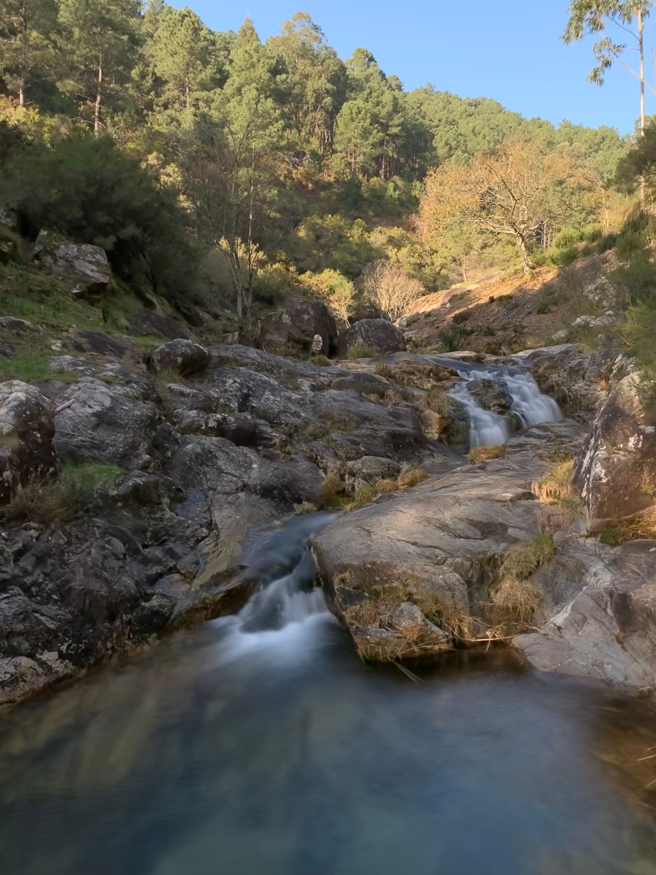 Dia da Conservação da Natureza: proteger não é um dia, é uma escolha diária
