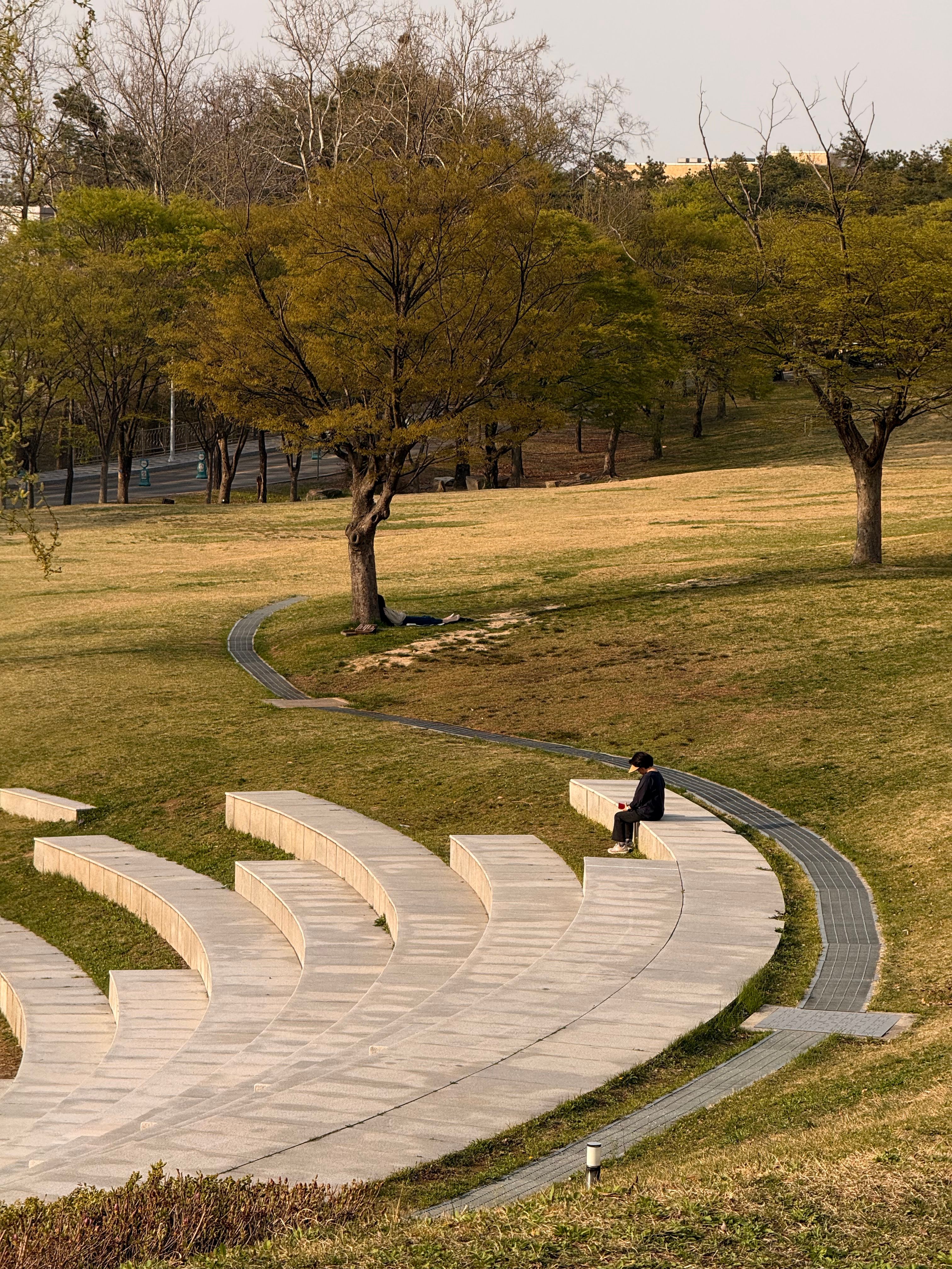 Lonely figure in an empty amphitheater surrounded by greenery in South Korea