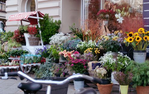 Free Vibrant assortment of flowers and plants displayed outside a shop with striped awning. Stock Photo