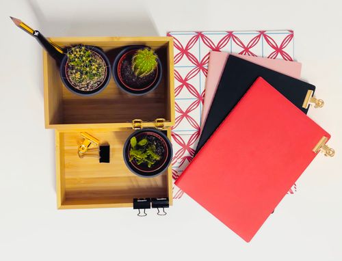 Free stock photo of cactus, desktop, notebooks Stock Photo