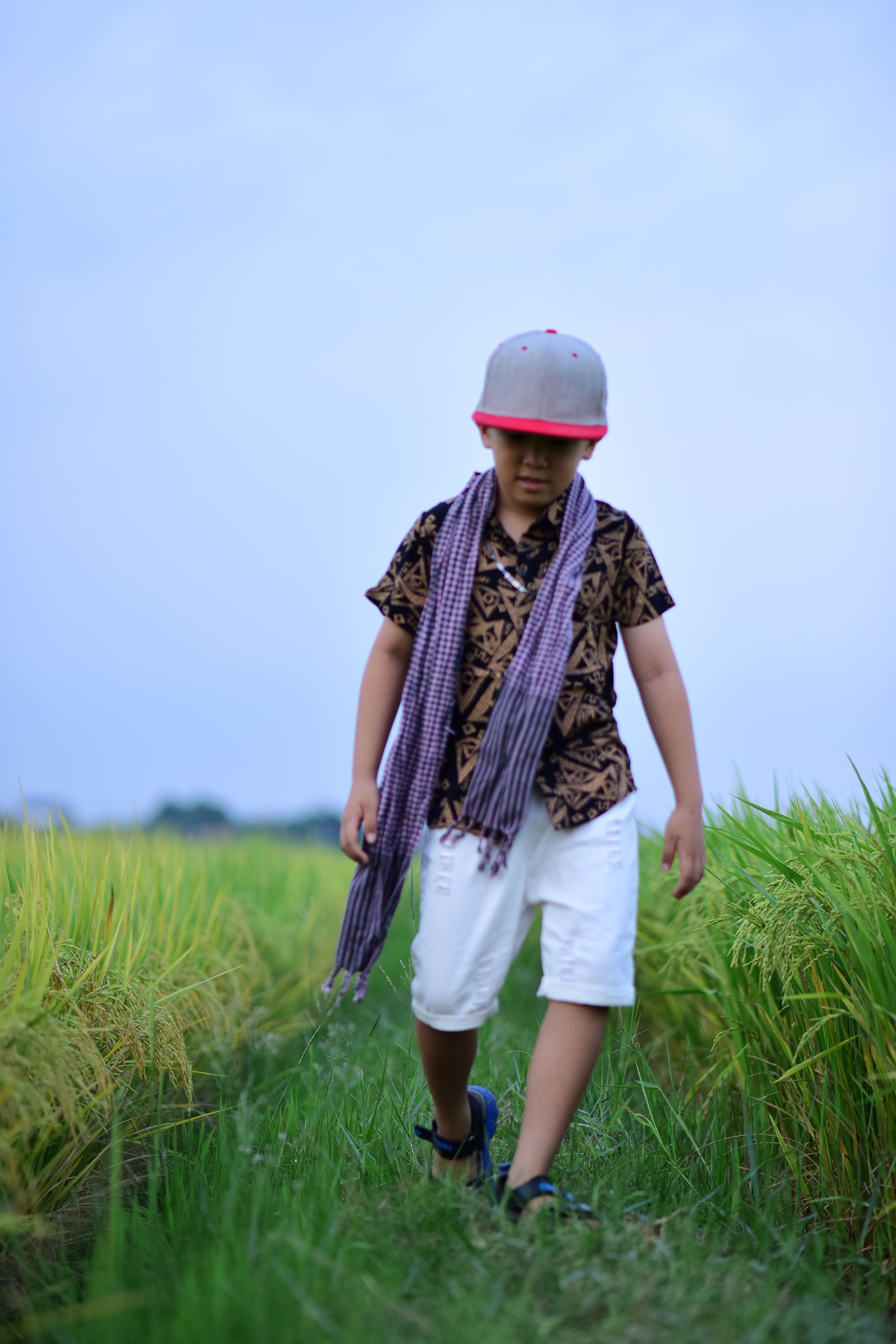 Child Observing Rice Field during Daytime · Free Stock Photo
