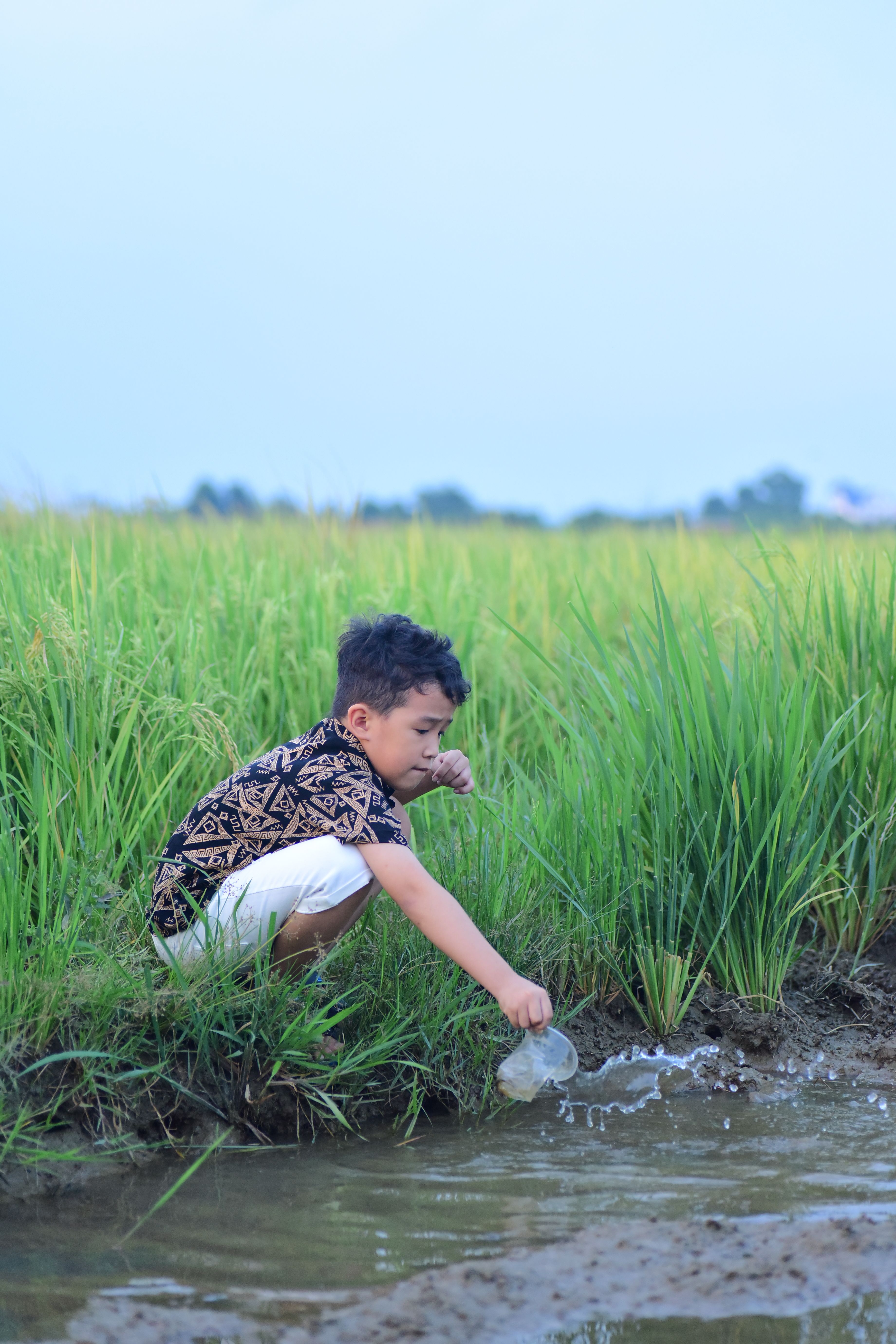 Child Playing in Lush Green Rice Field · Free Stock Photo