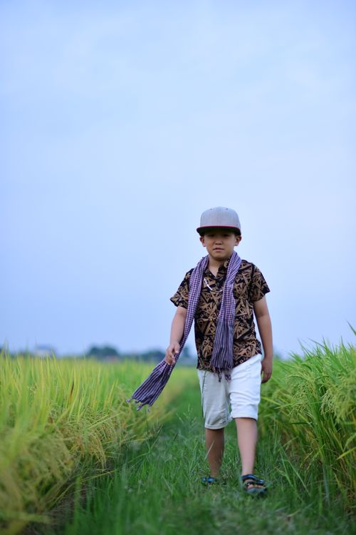 Free A young boy in traditional attire walks through a green rice field under a blue sky, capturing rural charm. Stock Photo