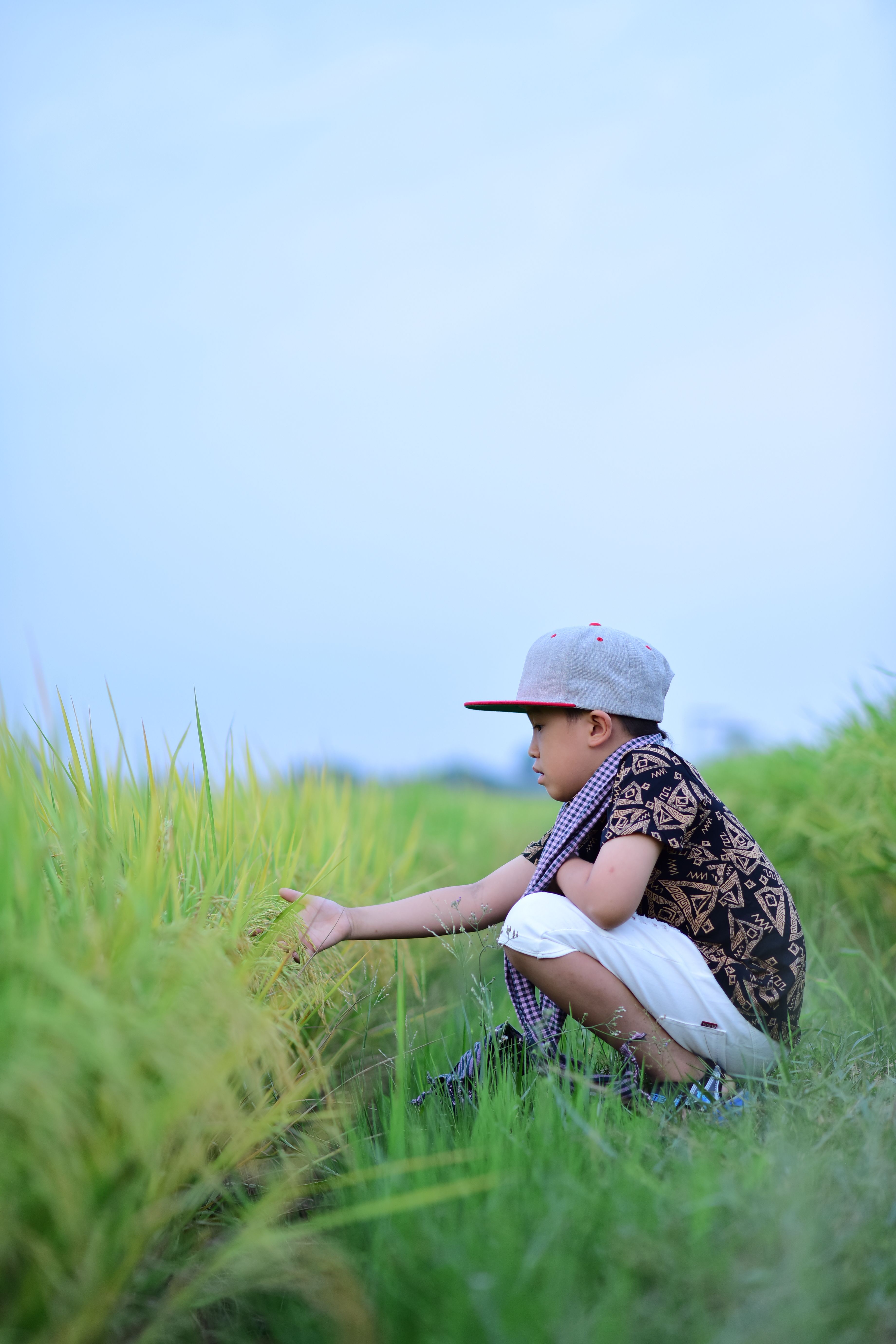 Young Boy Exploring Rice Field in Summer · Free Stock Photo