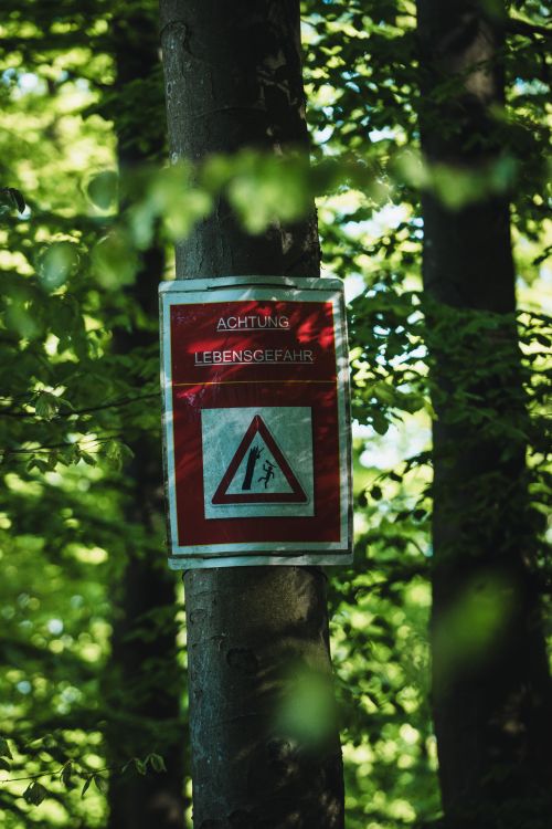 Free A caution sign in a forest in Bielefeld warns of potential danger, standing out against lush green foliage. Stock Photo