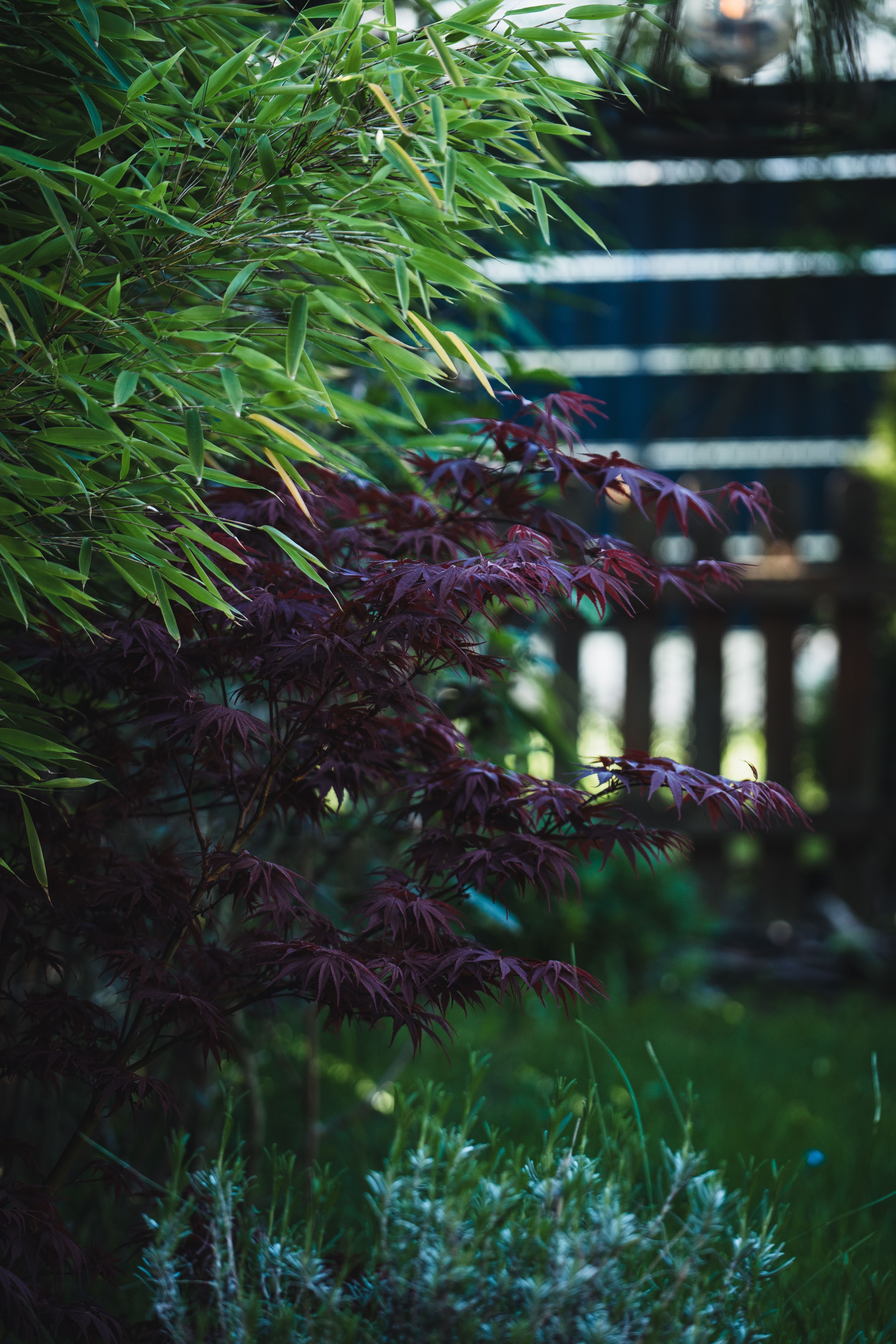 Spezialisiertes Webdesign für Garten- & Landschaftsbauer