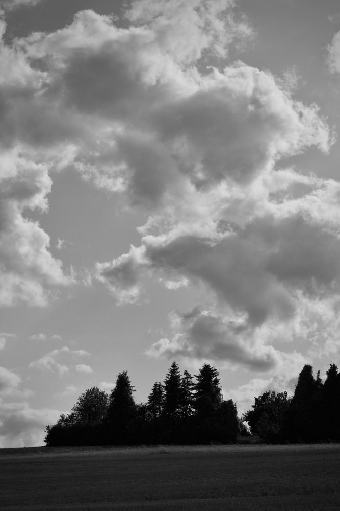 Fine Weather Photos, Download The BEST Free Fine Weather Stock Photos ...