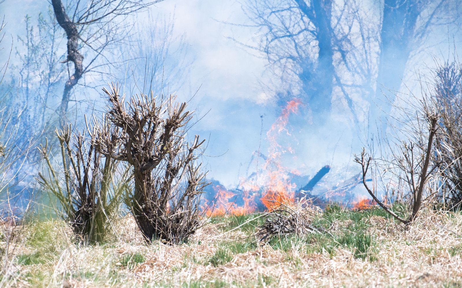 A wildfire spreading across dry grassland, with flames and smoke rising.