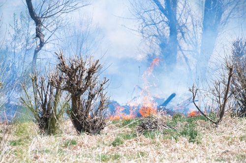 Free Dramatic wildfire spreading across dry grassland with smoke and flames visible. Stock Photo
