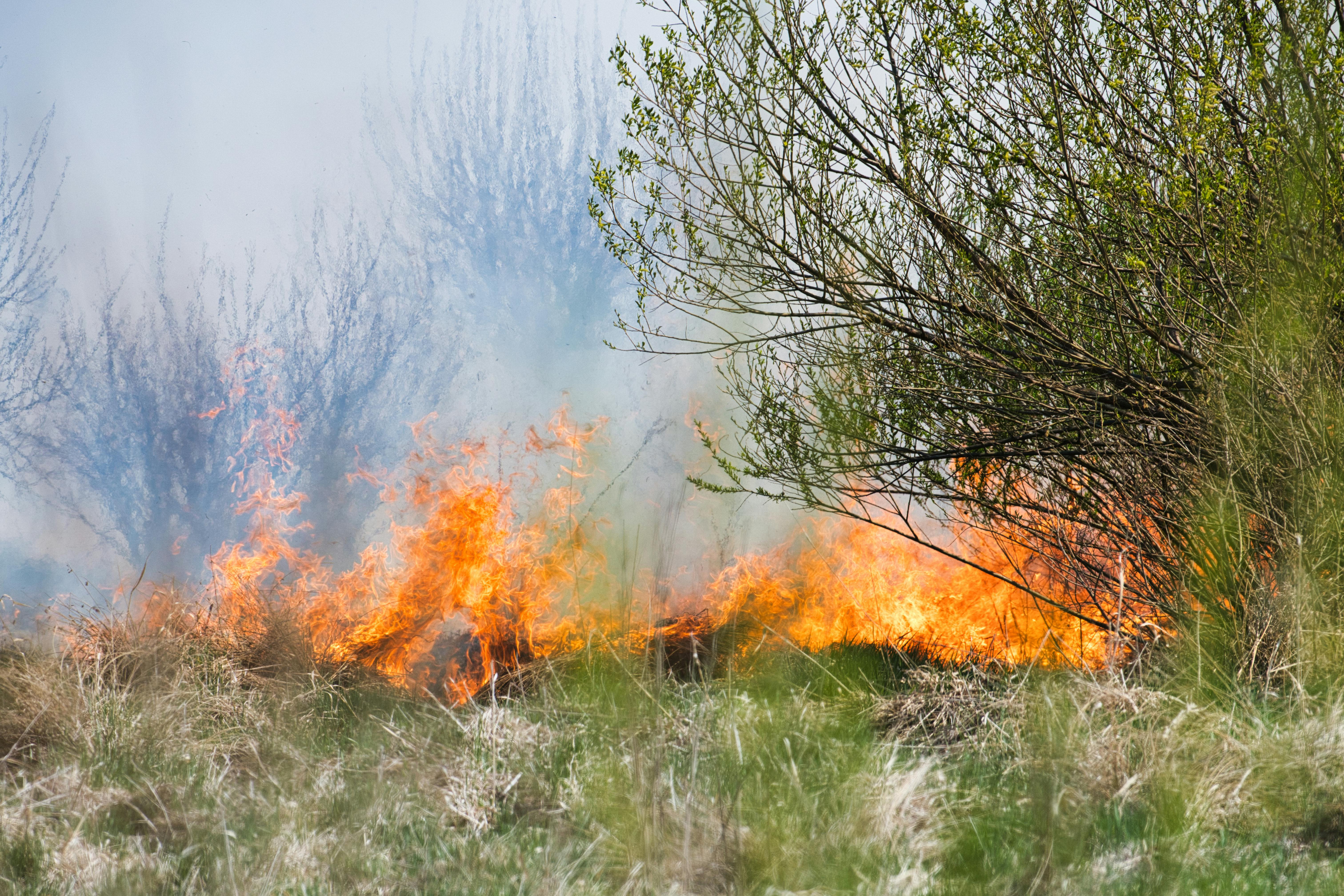 The Innate Fire of Plaintiffs’ Personal Injury Law, with D’Amico Pettinicchi’s Jeremy D’Amico — Photo by Michal Petráš on Pex