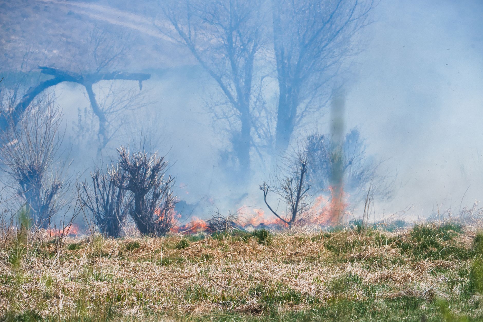 Fast-moving brush fire forces evacuations and Highway 1 closure near the Sonoma Coast.