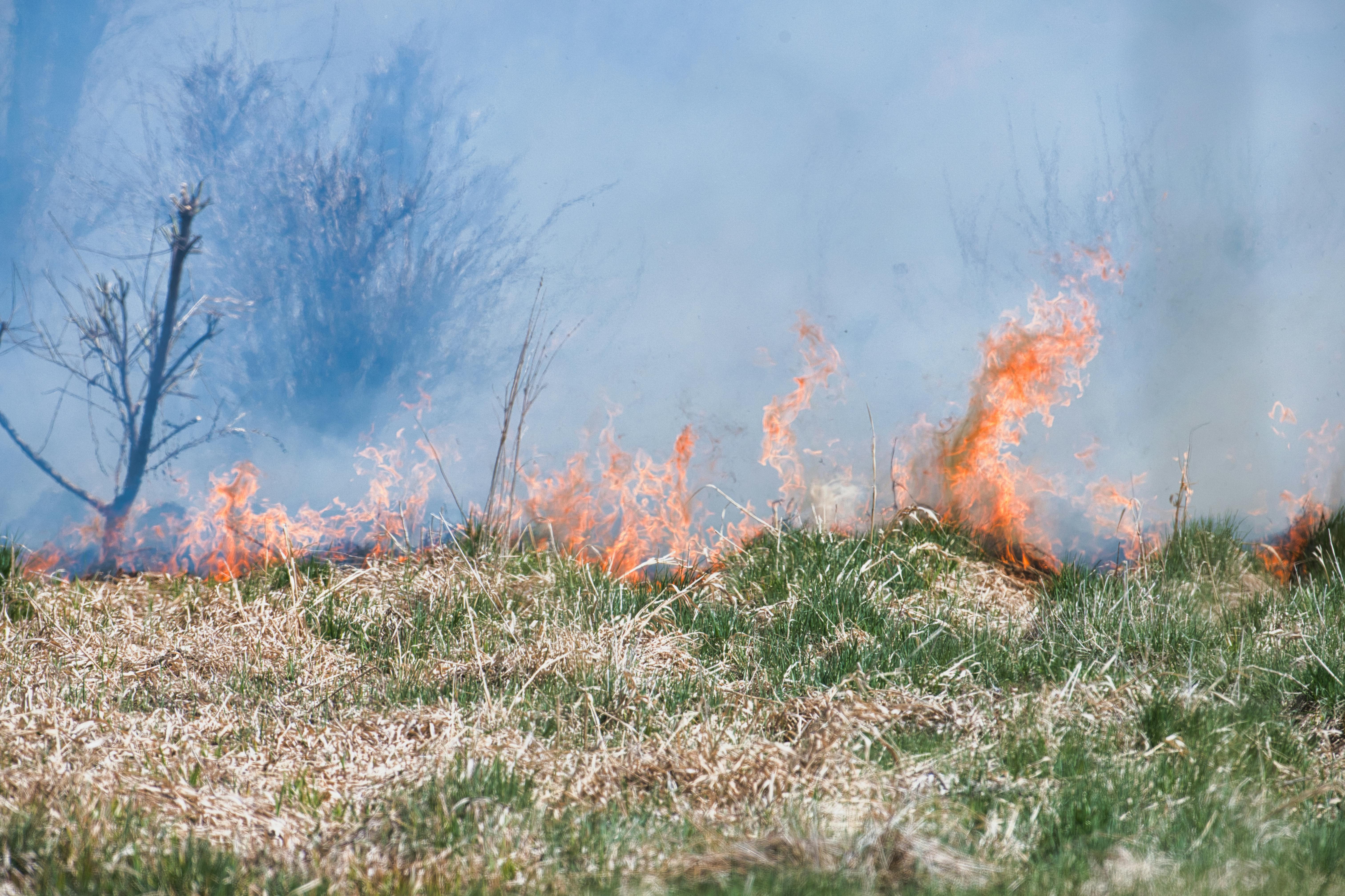 How natural disasters are rewriting home insurance costs in the Capital Region — Photo by Michal Petráš on Pexels
