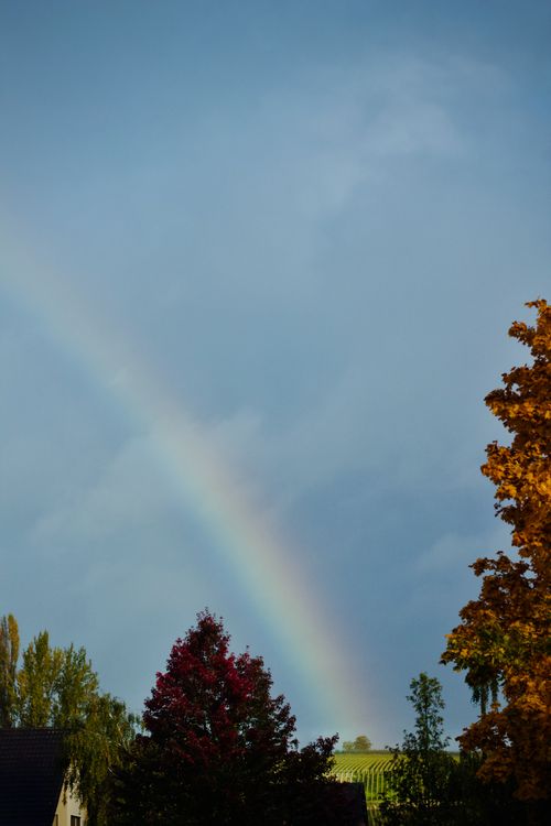 Free A scenic autumn landscape featuring a vibrant rainbow over colorful trees and a clear sky. Stock Photo