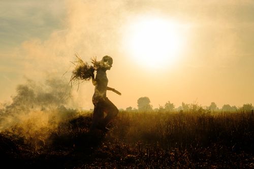 Free A person carries foliage in a smoky field in Battambang, Cambodia at sunset. Stock Photo
