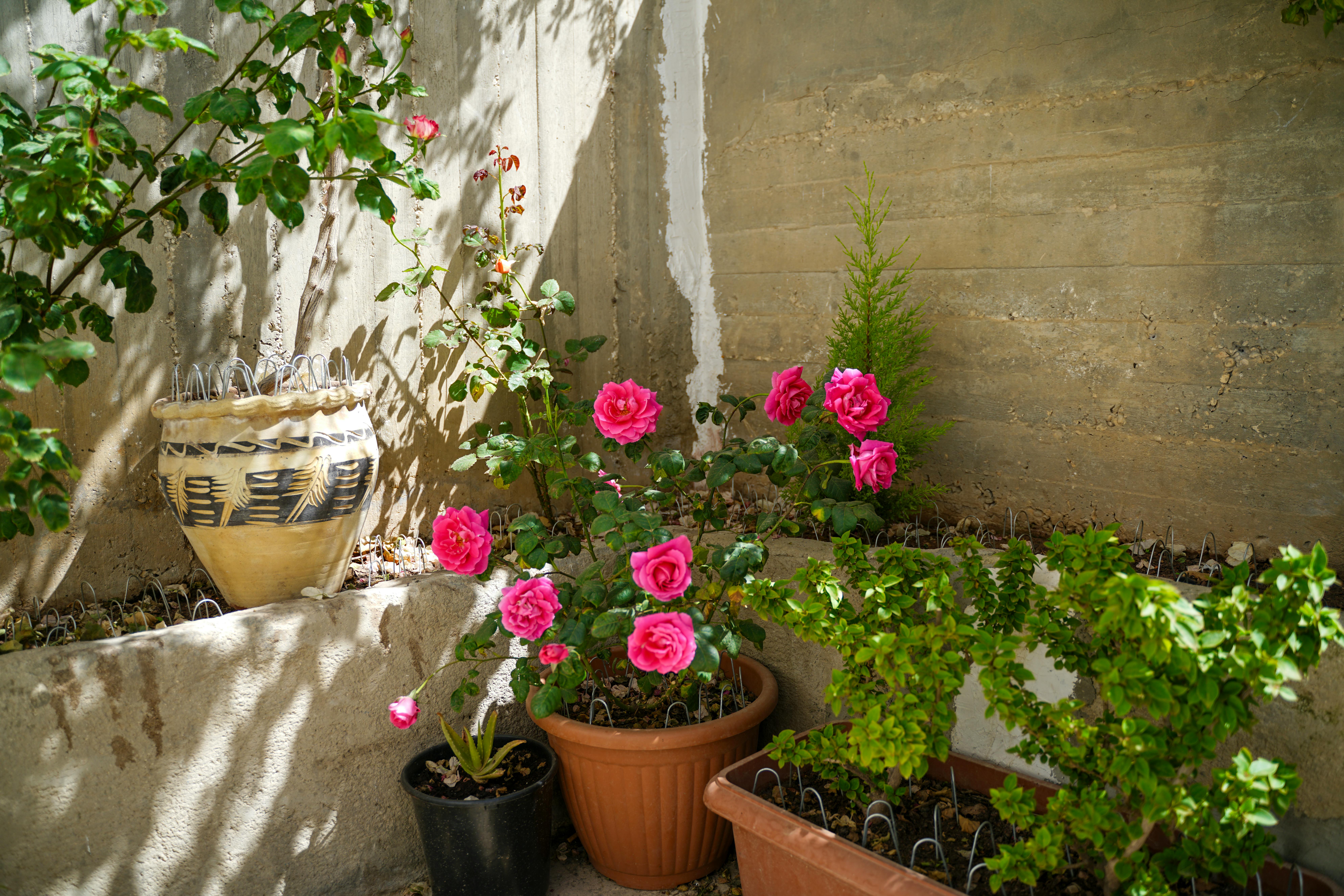 Come Creare Decorazioni Fai da Te per il Giardino Primavera
